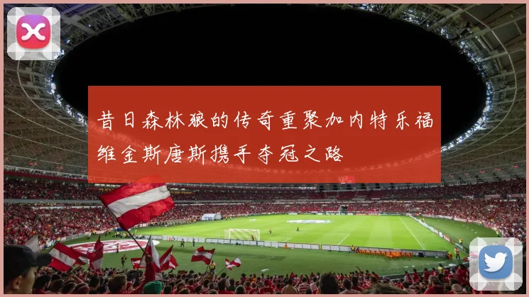 昔日森林狼的传奇重聚加内特乐福维金斯唐斯携手夺冠之路