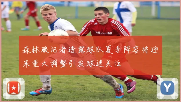 森林狼记者透露球队夏季阵容将迎来重大调整引发球迷关注
